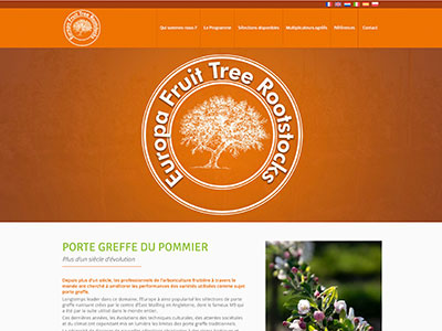 Europa Fruit Tree Rootstocks